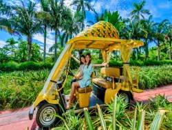 Nago Pineapple Park Tickets